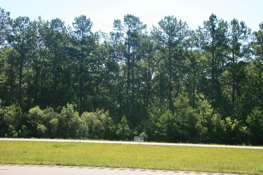 6898 Ocean Highway E, Leland, NC 28451 - #2