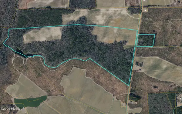 0 N Fountain Road, Pinetops, NC 27864