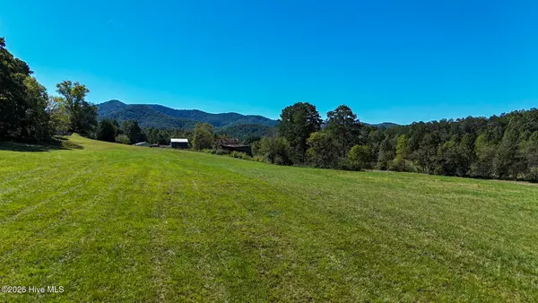 00 W Gum Log Road, Warne, NC 28909