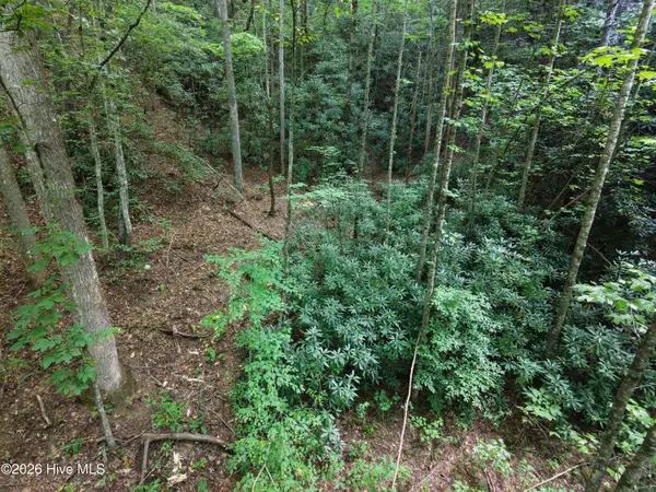 00 Collett Creek Road, Andrews, NC 28901