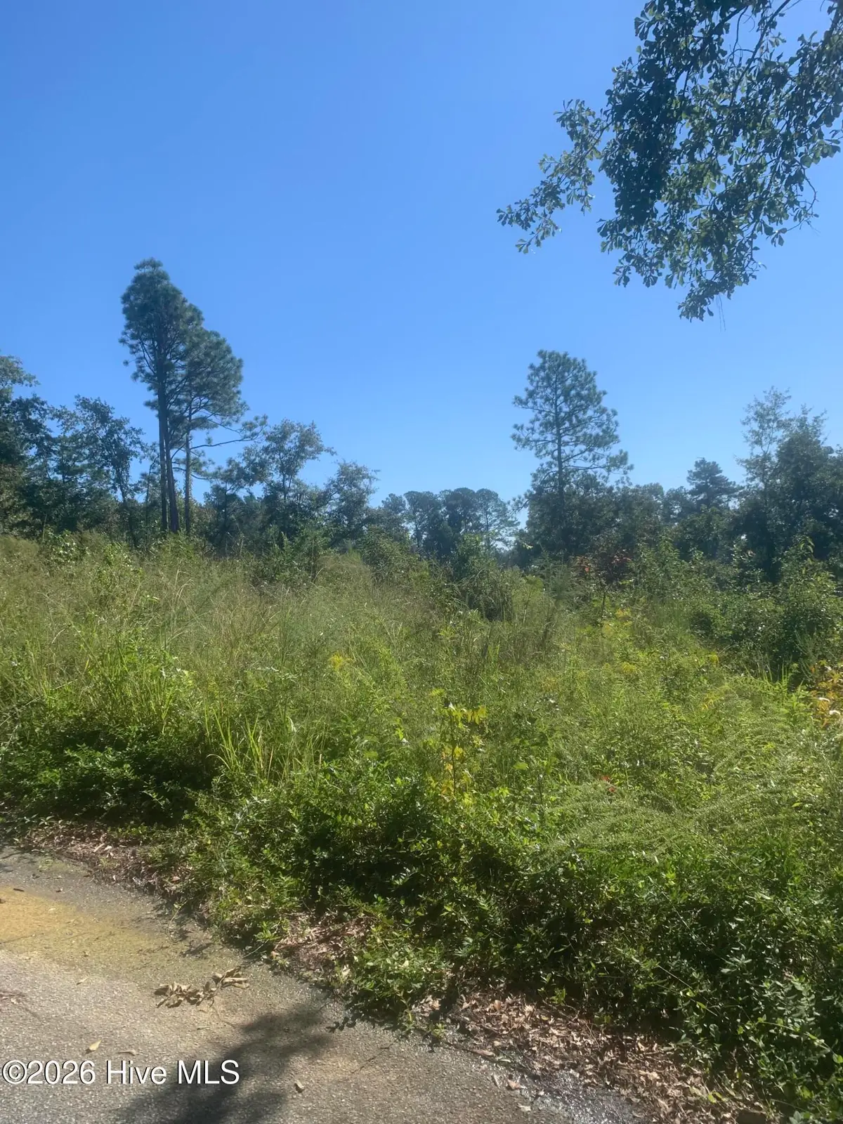 2331 Rutherford Avenue, Augusta, GA 30906 - #1
