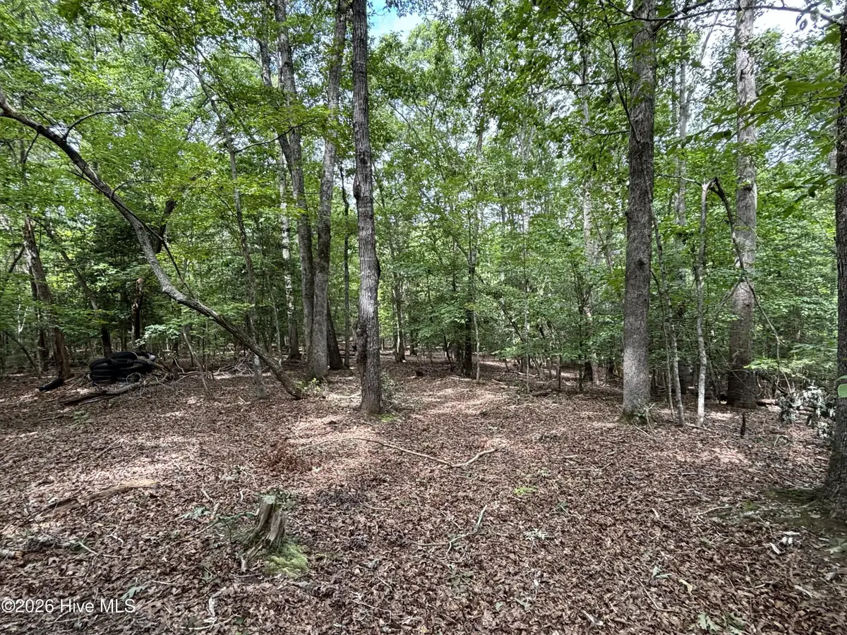 236 Sugar Loaf Drive, Troy, NC 27371 - #1