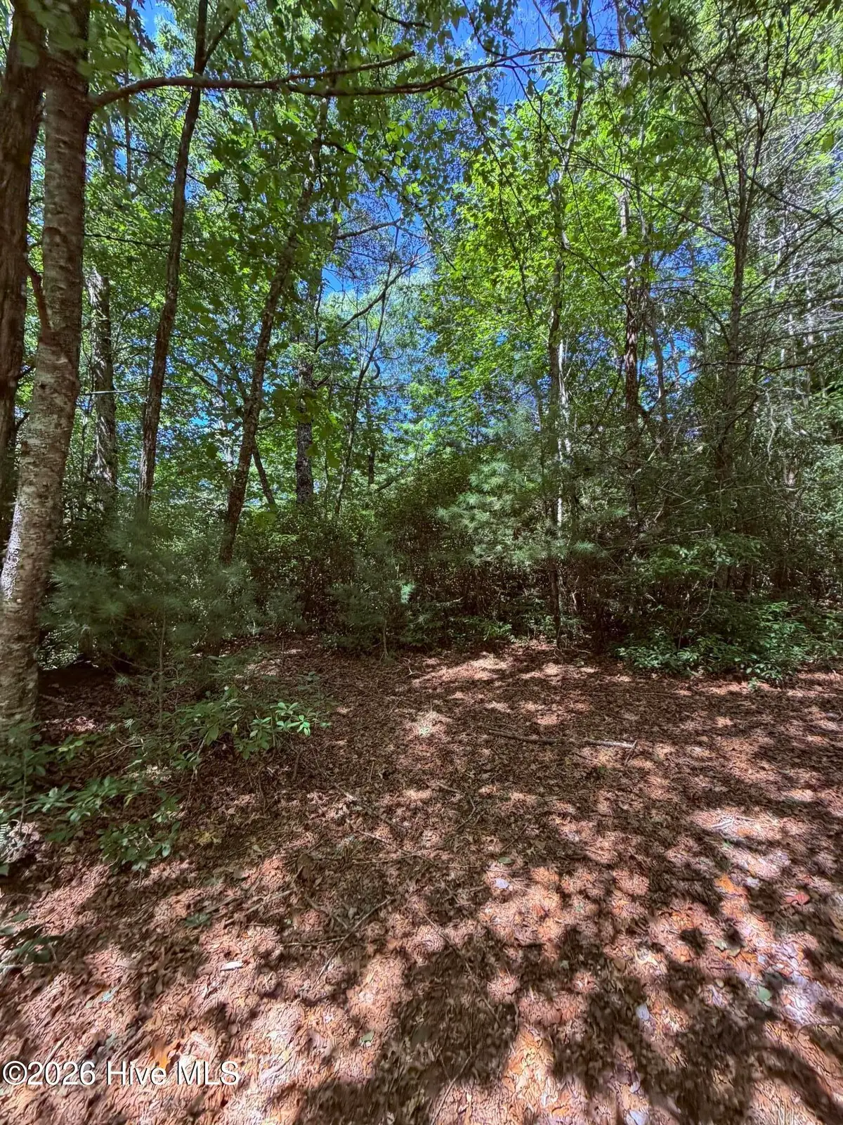 Lot 12 Holly Ridge Drive, Topton, NC 28781 - #1