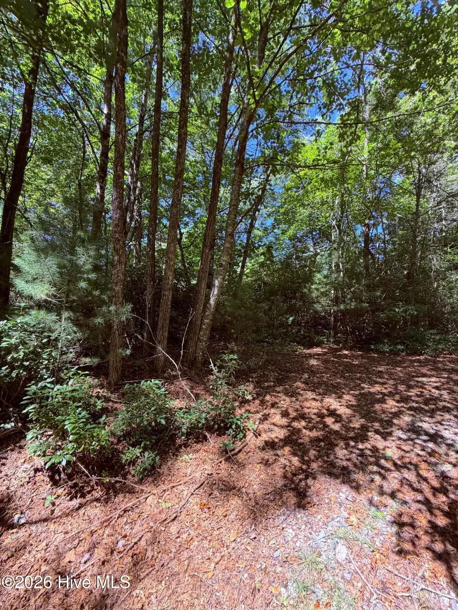 Lot 12 Holly Ridge Drive, Topton, NC 28781 - #2