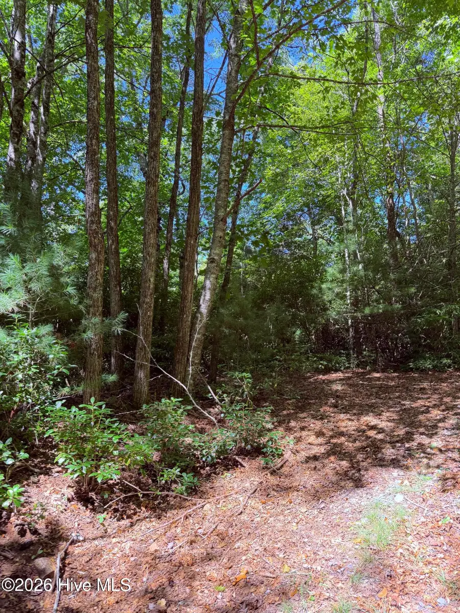 Lot 12 Holly Ridge Drive, Topton, NC 28781 - #3