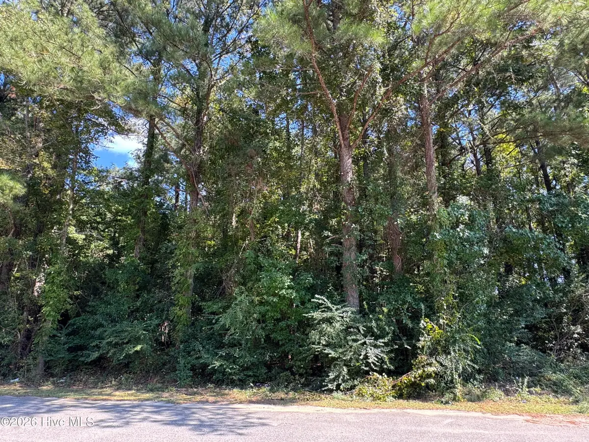 Near 90 Honey Hill Drive, Hallsboro, NC 28442 - #1