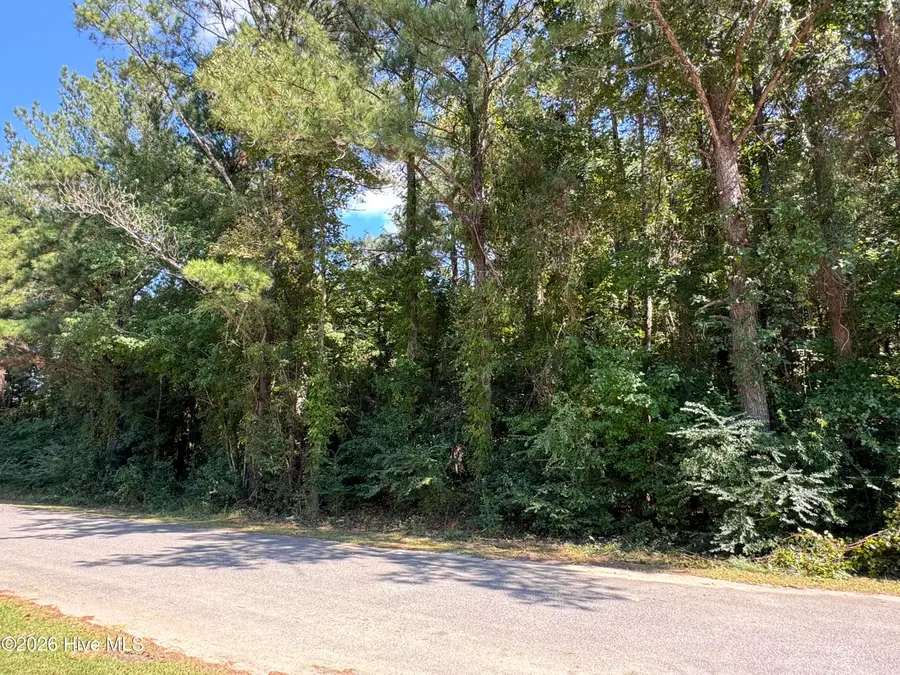 Near 90 Honey Hill Drive, Hallsboro, NC 28442 - #2