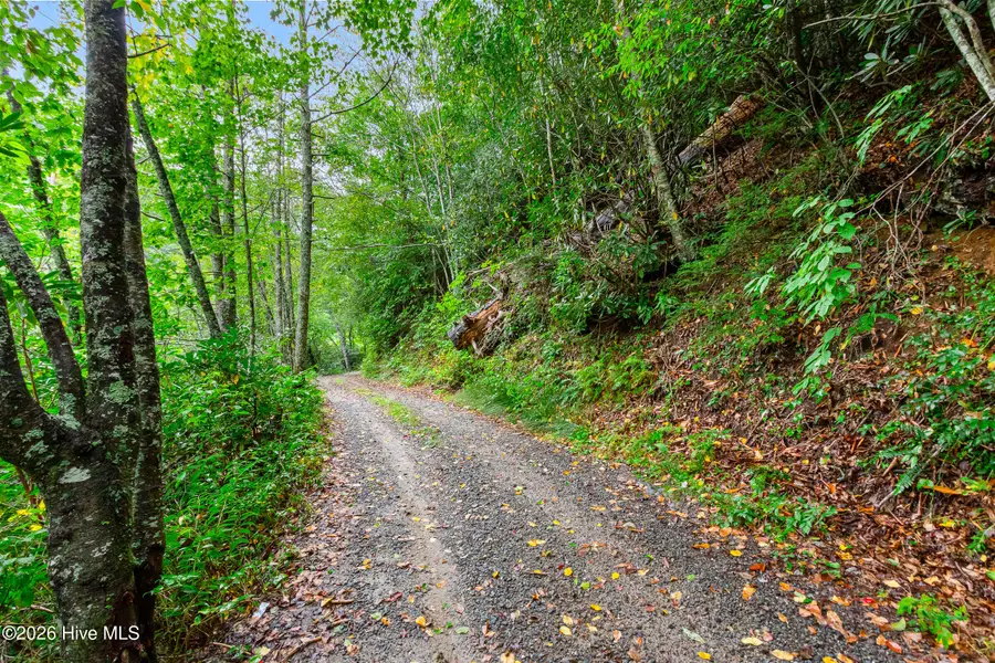 Lot 28 Water Gauge Road, Franklin, NC 28734 - #3