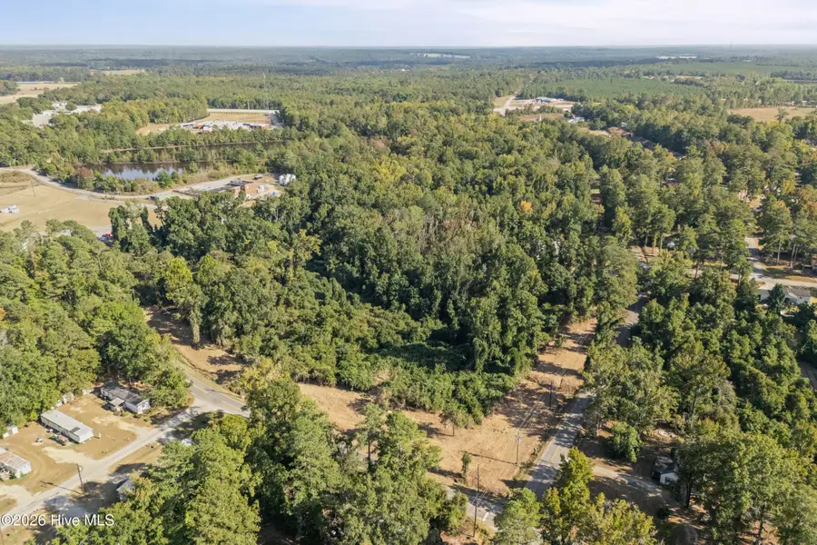 Tract C Forrest Clary Drive Extension, Thomson, GA 30824 - #2