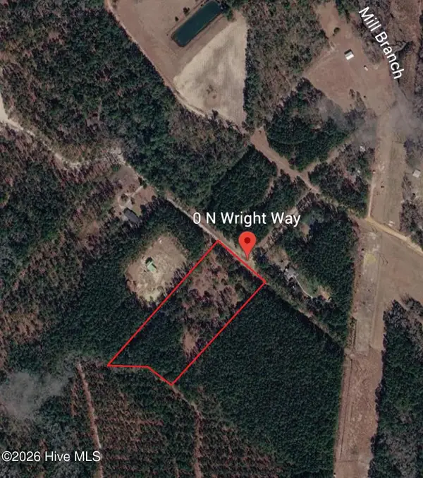 0 Near N Wright Way Way, Burgaw, NC 28425