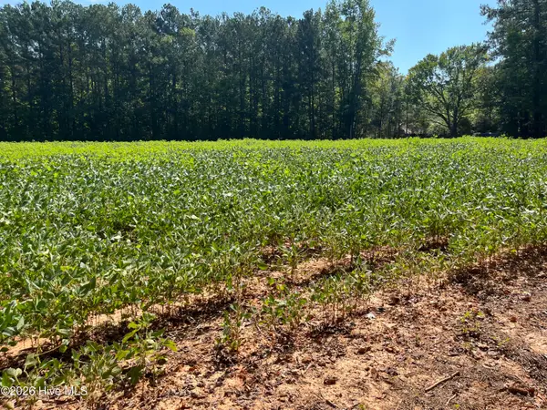 9011 Pleasant Grove Church Road, Spring Hope, NC 27882