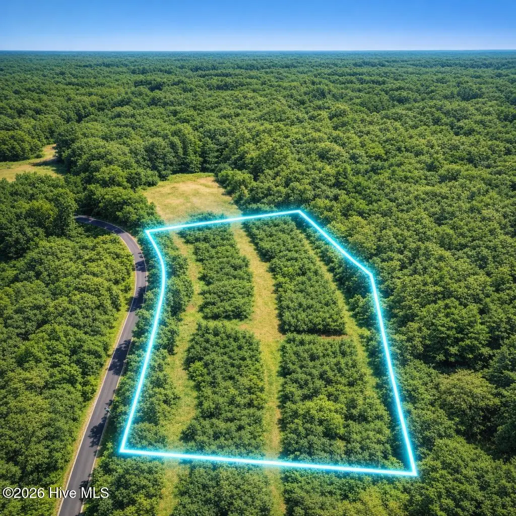 135 Drama Road, Snow Camp, NC 27349 - #1