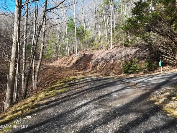 4.01 Ac Park Hill Avenue, Blairsville, GA 30512