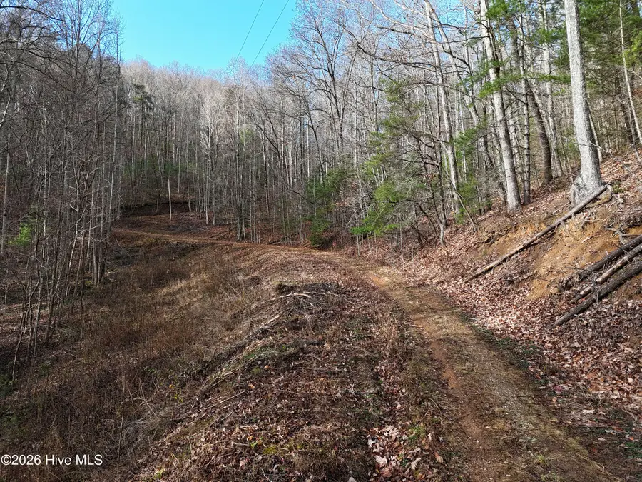 4.01 Ac Park Hill Avenue, Blairsville, GA 30512 - #2