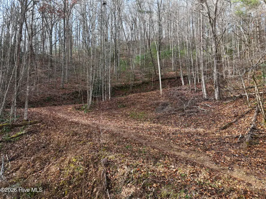 4.01 Ac Park Hill Avenue, Blairsville, GA 30512 - #3