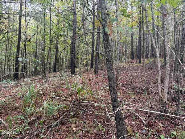 1440 Upper Bear Paw Road, Murphy, NC 28906