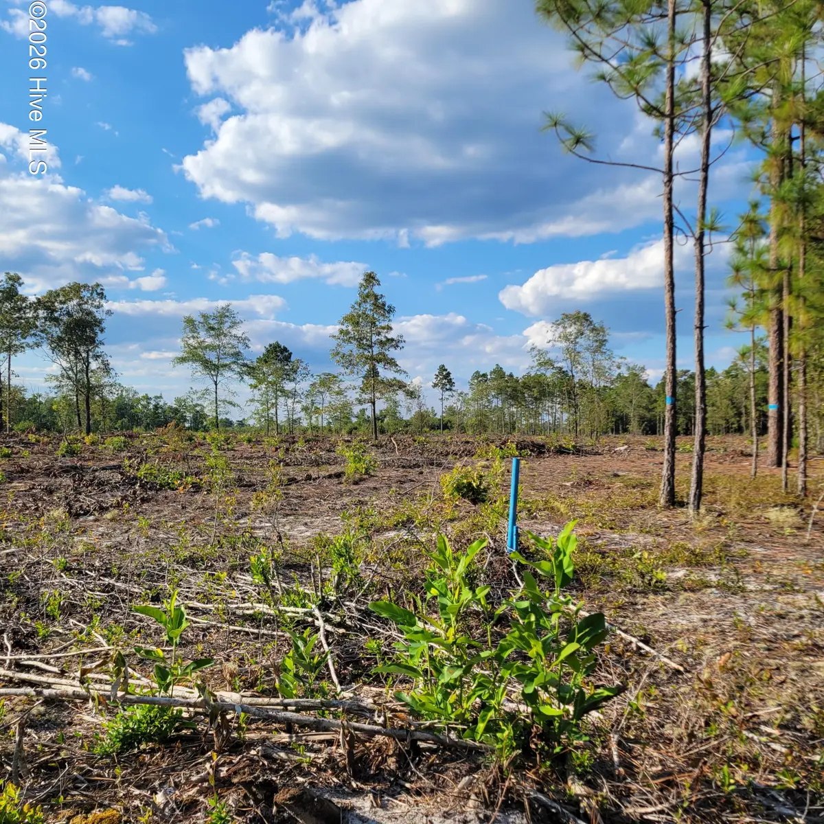 Lot 0 Moores Swamp Road, Ivanhoe, NC 28447 - #1