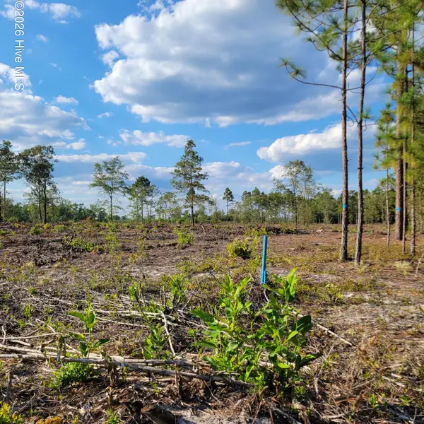 Lot 0 Moores Swamp Road, Ivanhoe, NC 28447