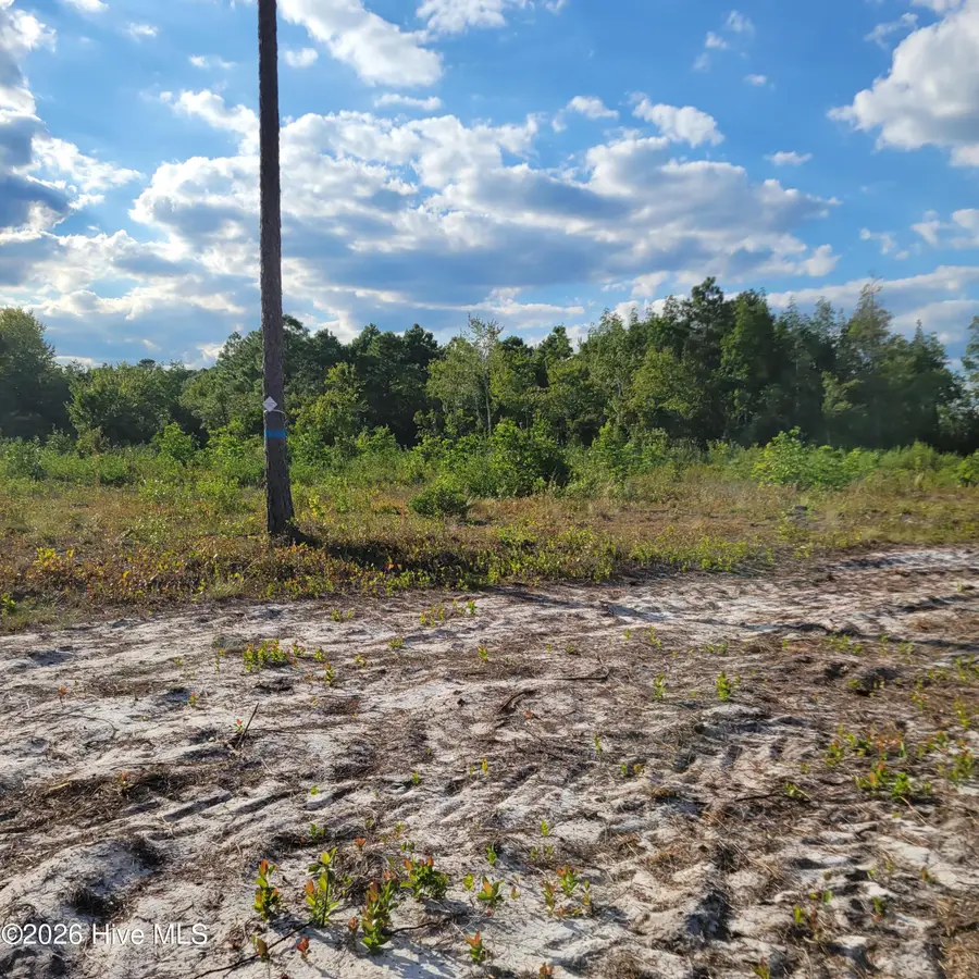Lot 0 Moores Swamp Road, Ivanhoe, NC 28447 - #2
