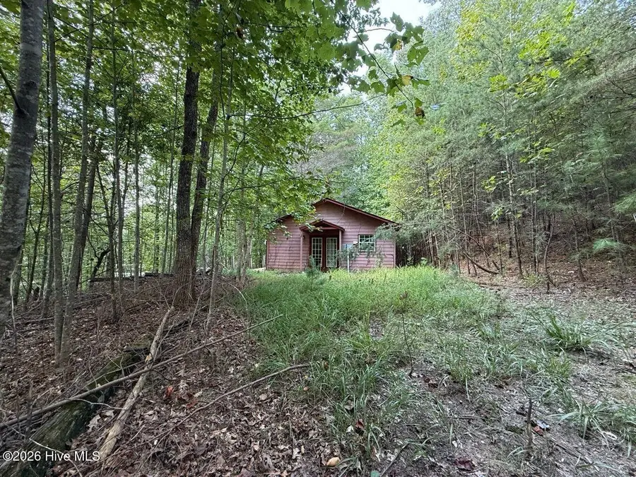 61 Manny Lane, Murphy, NC 28906 - #2