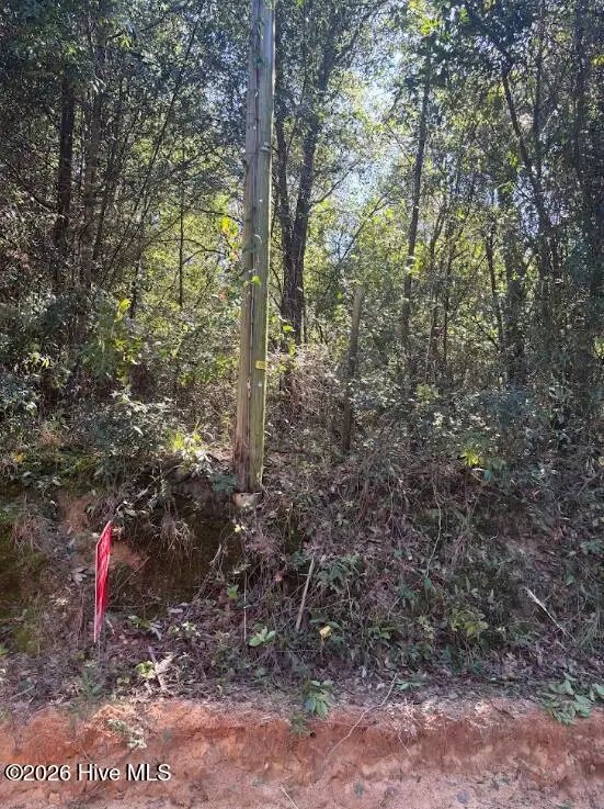 Lt 17 Foreman Floyd Circle, Aiken, SC 29803 - #1