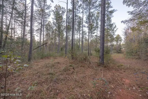 0 Barr Chapel Road, Edgefield, SC 29824