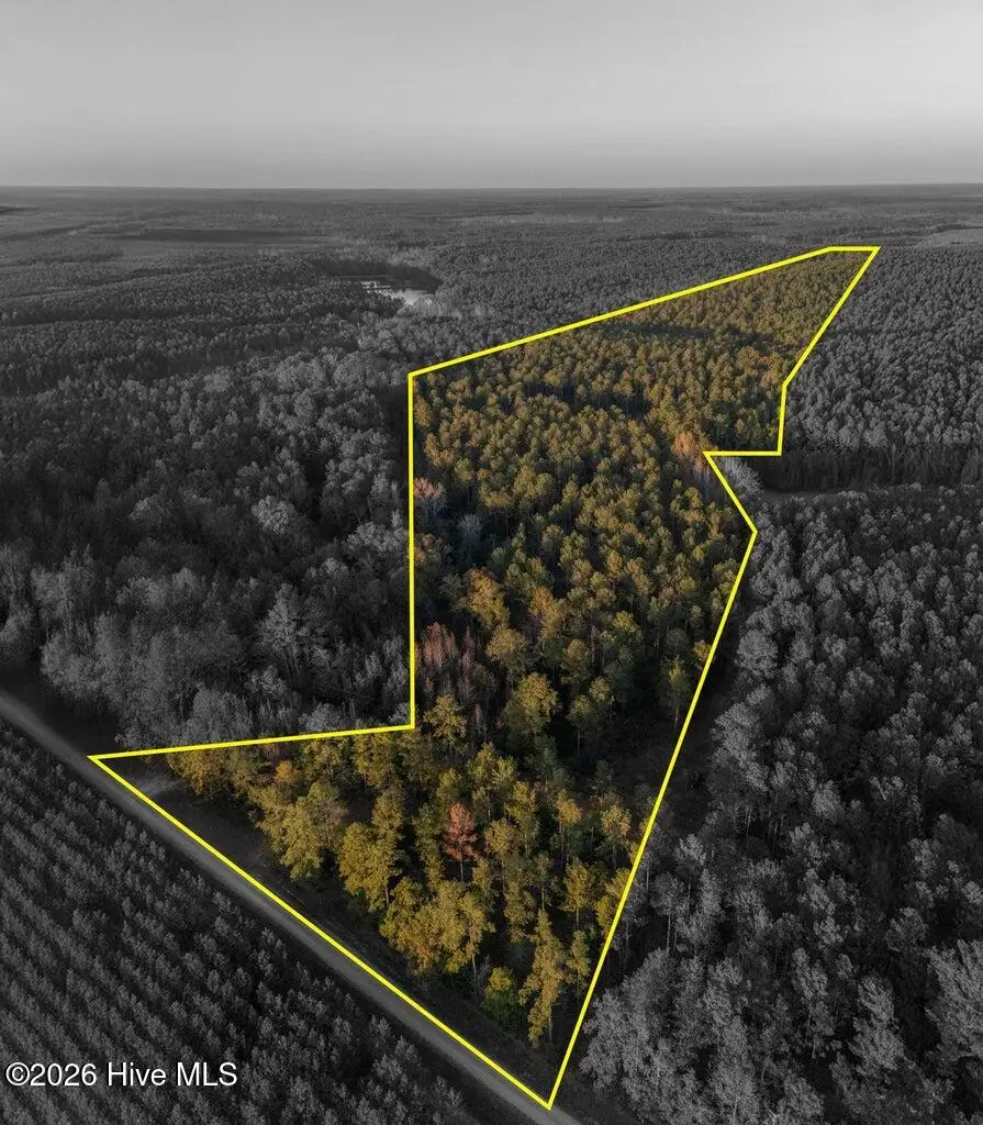 0 Barr Chapel Road, Edgefield, SC 29824 - #3