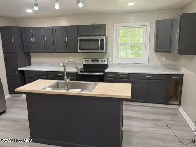 146 Cumbo Road, Rich Square, NC 27869 - #3