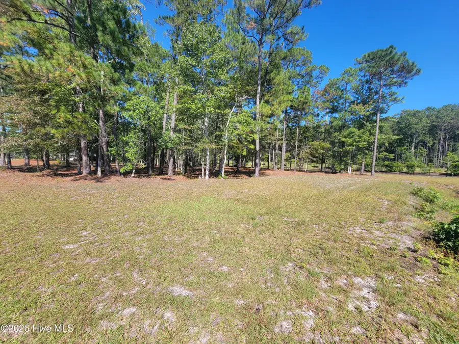 6718 Summerhill Glen Sw, Ocean Isle Beach, NC 28469 - #2