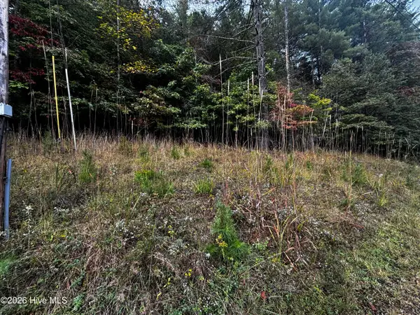 Lot 6 Joyce Road, Murphy, NC 28906