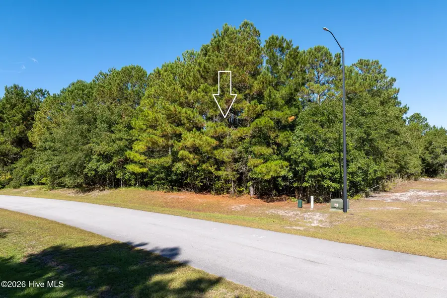 145 Royal Palms Way, Holly Ridge, NC 28445 - #2