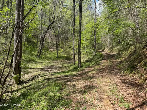 17.96 Lower Vengeance Creek Road, Marble, NC 28905