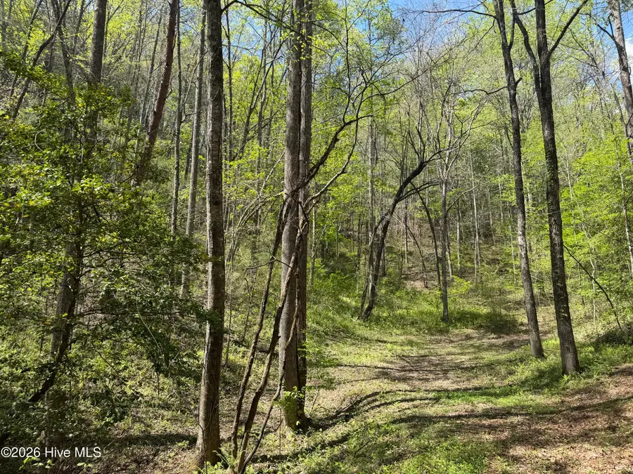 17.96 Lower Vengeance Creek Road, Marble, NC 28905 - #2