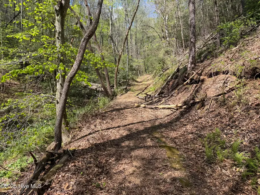 17.96 Lower Vengeance Creek Road, Marble, NC 28905 - #3