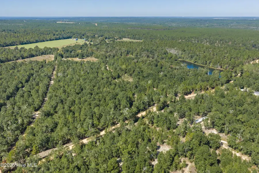 0000 Mary Rawls Road, Wagener, SC 29164 - #2
