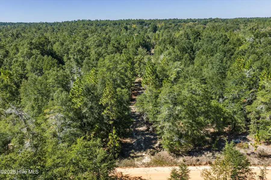 0000 Mary Rawls Road, Wagener, SC 29164 - #3