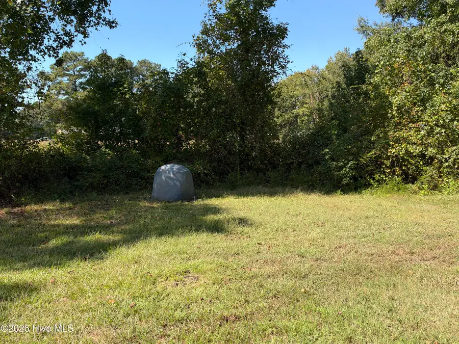 10848 Prison Camp Road, Robersonville, NC 27871 - #3