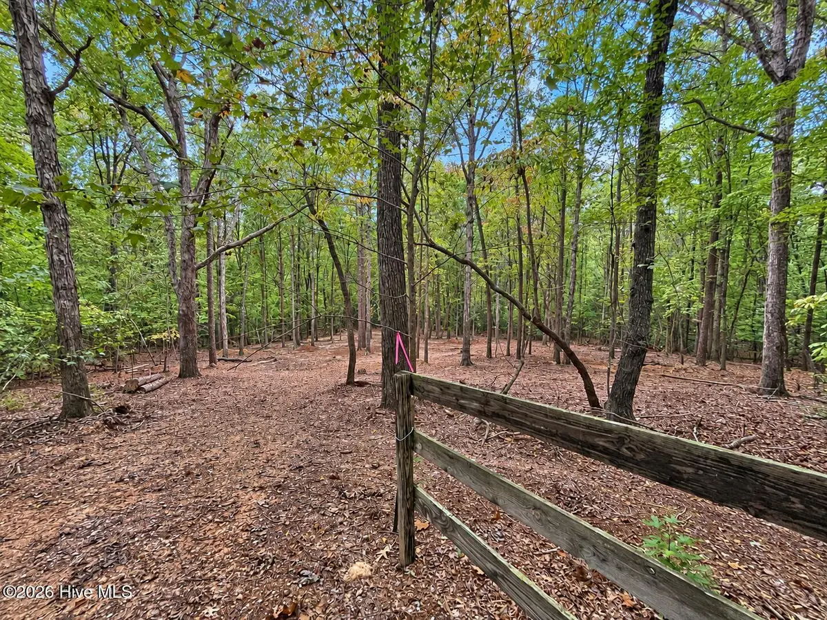 150 Morgan Circle, Carthage, NC 28327 - #1