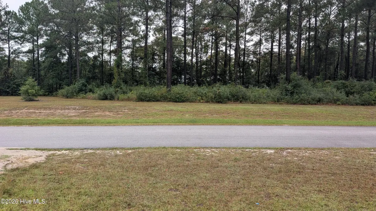 244 Gus Horne Road, Holly Ridge, NC 28445 - #1