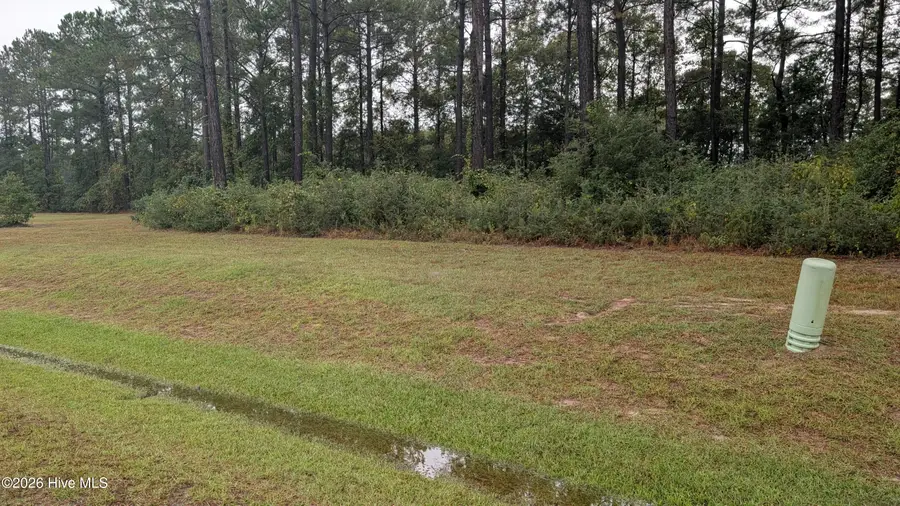 244 Gus Horne Road, Holly Ridge, NC 28445 - #3