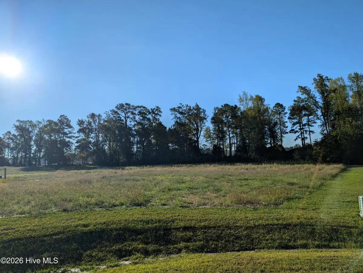459 Driftwood Drive, Richlands, NC 28574 - #1