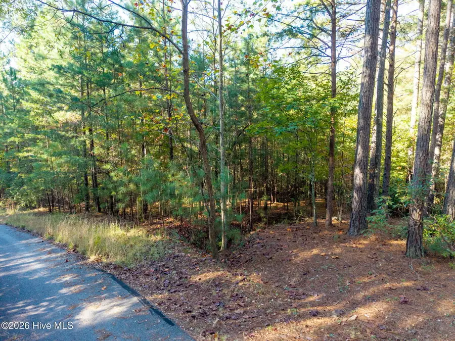 71 Nature Trail, Murphy, NC 28906 - #3