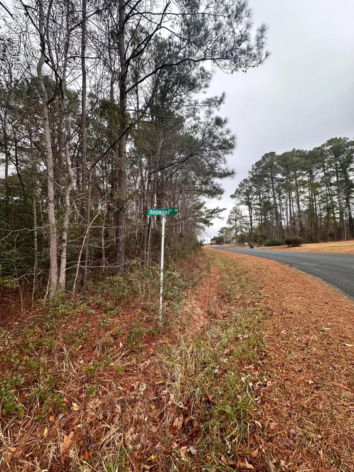 151 Dogwood Trail Sw, Supply, NC 28462 - #1