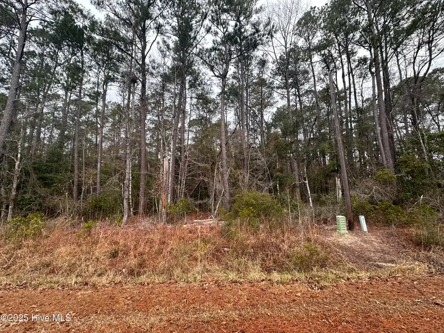 151 Dogwood Trail Sw, Supply, NC 28462 - #2