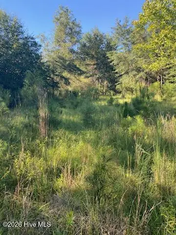 1071 W 4 Points Road, Keysville, GA 30816 - #3
