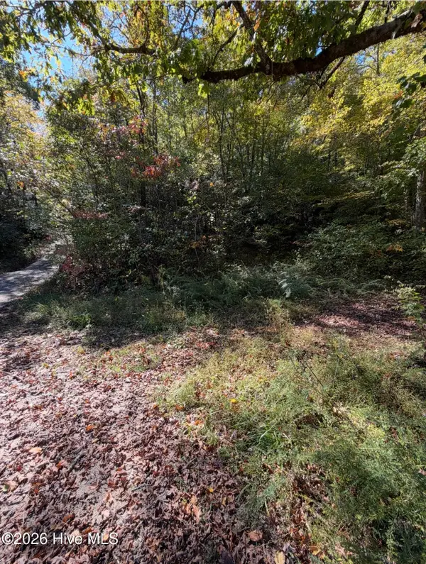 2290 Healy Fields Road, Andrews, NC 28901