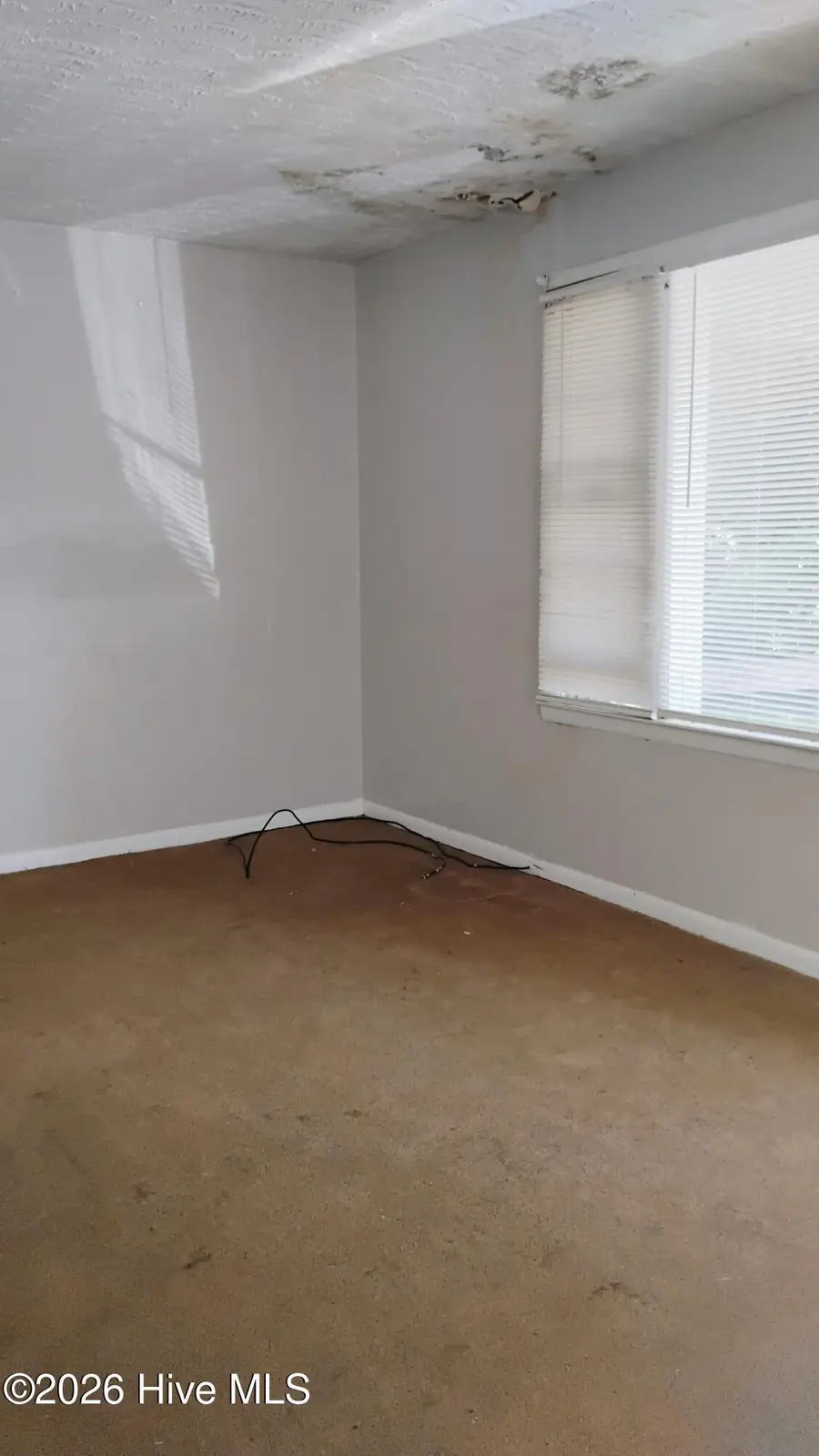 264 Japonica Avenue, Augusta, GA 30901 - #3