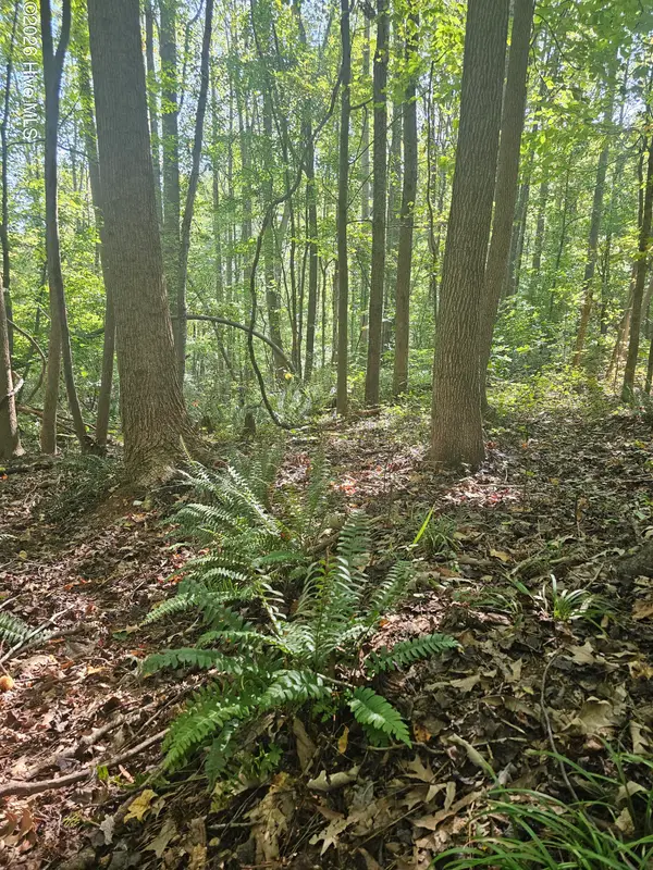 0 Off Old County Home Road, Nashville, NC 27856