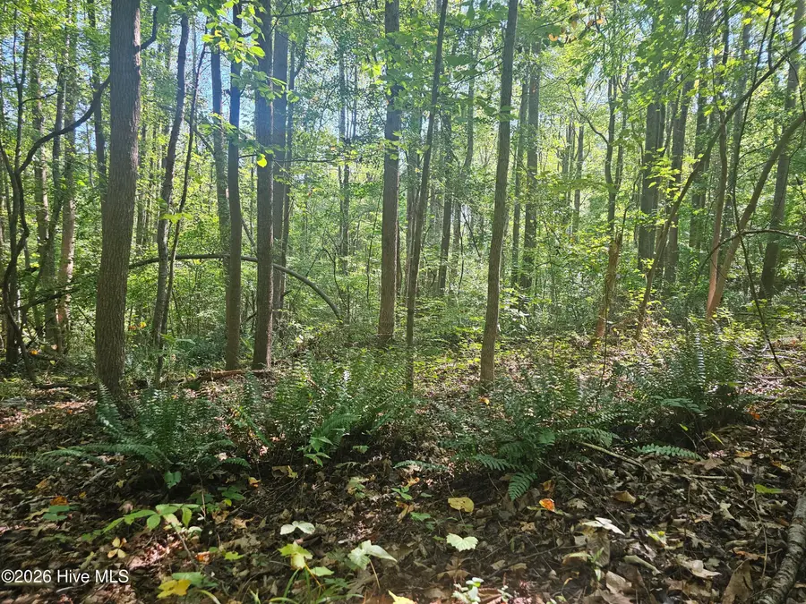0 Off Old County Home Road, Nashville, NC 27856 - #2