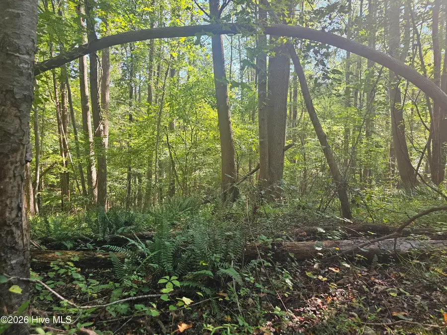 0 Off Old County Home Road, Nashville, NC 27856 - #3